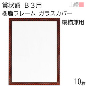 [P[X̔] RN z B3 ܏z t[(ؖڒ) KXJo[ 10 / pTCY532×390mm \ ӏ ؏ Г\ FΏ F  ReXg RN[ Cxg 00823012-0010