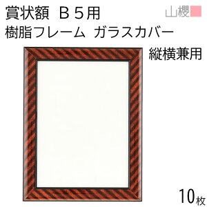 [P[X̔] RN z B5 ܏z t[(ؖڒ) KXJo[ 10 / pTCY266×195mm \ ӏ ؏ Г\ FΏ F  ReXg RN[ Cxg 00823014-0010