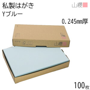 RN ͂ ͂ Yu[ 0.245mm g 100 / pXeJ[ n X֘g ͂ nKLp m点 ē ^[ |XgJ[h X 莆  菑  IWi 