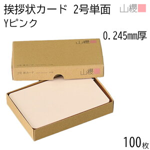 RN PJ[h 2 YsN 0.245mm 100 / Ap 103×154mm p pXeJ[ n AC vH ݗ JX ړ] 呍 I ЖύX nƋLO N Ɩg lٓ gDύX l