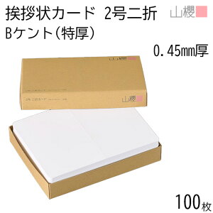 RN ܃J[h 2 Pg B() 0.450mm 100 / Ap 206×154mm p  n AC vH ݗ JX ړ] 呍 I ЖύX nƋLO N Ɩg lٓ gDύX l 003