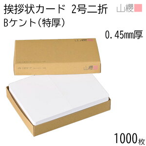 [P[X̔] RN ܃J[h 2 Pg B() 0.450mm 1,000 / Ap 206×154mm p  n AC vH ݗ JX ړ] 呍 I ЖύX nƋLO N Ɩg lٓ gD