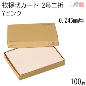 RN ܃J[h 2 YsN 0.245mm 100 / Ap 206×154mm p pXeJ[ n AC vH ݗ JX ړ] 呍 I ЖύX nƋLO N Ɩg lٓ gDύX 