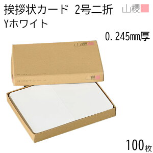 RN ܃J[h 2 YzCg 0.245mm 100 / Ap 206×154mm p  n AC vH ݗ JX ړ] 呍 I ЖύX nƋLO N Ɩg lٓ gDύX l 00307058-