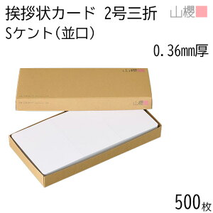 [P[X̔] RN O܃J[h 2 Pg S() 0.360mm 500 / Ap 309×154mm p  n AC vH ݗ JX ړ] 呍 I ЖύX nƋLO N Ɩg lٓ gD