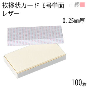 RN PJ[h 6 t@V[ FL(U[) p 100 / Ap 170×90mm N[ n AC vH ݗ JX ړ] 呍 I ЖύX nƋLO N Ɩg lٓ gDύX l 00