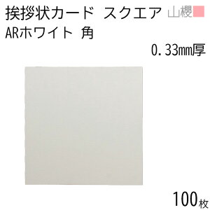 RN PJ[h XNGA ARzCgCoC 0.325mm p 100 / ` 150×150mm Ax[  n ҏ ē AC ݗ JX nƋLO N Cxg RN[ O[eBO 00317013-0100