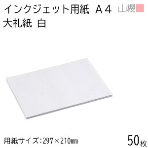 RN Rs[p A4 JET 玆  50 / CNWFbgΉ Жʑ a a  a a a  pi ItBX  IJ v^[   W 00717111-0050