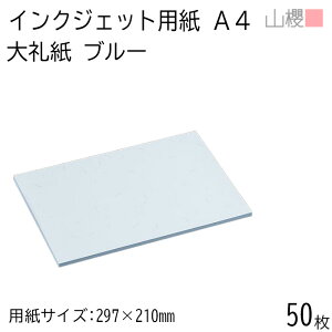 RN Rs[p A4 JET 玆 u[ 50 / CNWFbgΉ Жʑ a a  a a a  pi ItBX  IJ v^[   W 00717117-0050