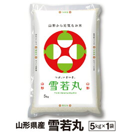 【令和7年産】山形県産 雪若丸 5kg×1袋 送料無料