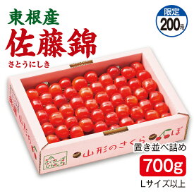 さくらんぼ 東根産 佐藤錦 置き並び詰め700g Lサイズ以上 産地直送 送料無料