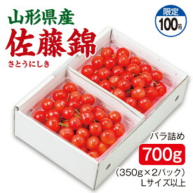 さくらんぼ 山形県産 佐藤錦 バラ詰め700g（350g×2パック） Lサイズ以上 産地直送 送料無料