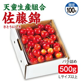 さくらんぼ 天童生産組合 佐藤錦 バラ詰め500g Lサイズ以上 産地直送 送料無料