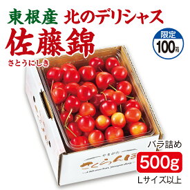 さくらんぼ 東根産 北のデリシャス 佐藤錦 バラ詰め500g Lサイズ以上 産地直送 送料無料