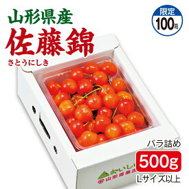 さくらんぼ 山形県産 佐藤錦 バラ詰め500g Lサイズ以上 産地直送 送料無料