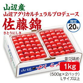 さくらんぼ 山辺産 山辺アグリカルチュラルプロデュース 佐藤錦 並び詰め1kg（500g×2パック） Lサイズ以上 産地直送 送料無料