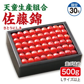 さくらんぼ 天童生産組合 佐藤錦 並び詰め500g Lサイズ以上 産地直送 送料無料