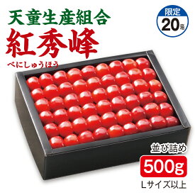 さくらんぼ 天童生産組合 紅秀峰 並び詰め500g Lサイズ以上 産地直送 送料無料
