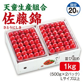 さくらんぼ 天童生産組合 佐藤錦 並び詰め1kg（500g×2パック） Lサイズ以上 産地直送 送料無料