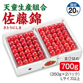 さくらんぼ 天童生産組合 佐藤錦 並び詰め700g（350g×2パック） Lサイズ以上 産地直送 送料無料