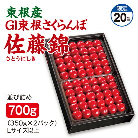 さくらんぼ 東根産 GI東根さくらんぼ 佐藤錦 並び詰め700g（350g×2パック） Lサイズ以上 産地直送 送料無料