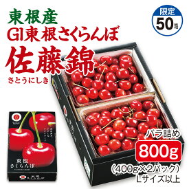 さくらんぼ 東根産 GI東根さくらんぼ 佐藤錦 バラ詰め800g（400g×2パック） Lサイズ以上 産地直送 送料無料