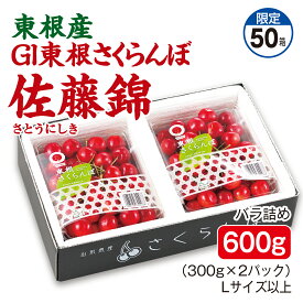 さくらんぼ 東根産 GI東根さくらんぼ 佐藤錦 バラ詰め600g（300g×2パック） Lサイズ以上 産地直送 送料無料