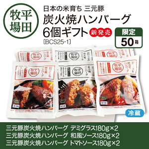 cq {̕Ĉ炿 O YΏăno[O6MtgmBCS25-1niOؒYΏăno[O f~OX180g×2AOؒYΏăno[O a\[X180g×2AOؒYΏăno[O g}g