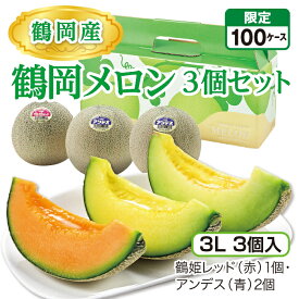 鶴岡産 鶴岡メロン3個セット（3L 3個入）　鶴姫レッド（赤）1個・アンデス（青）2個 山形県産庄内メロン 砂丘が育む濃厚な味 産地直送 送料無料