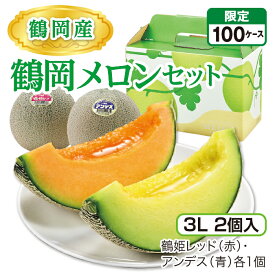 鶴岡産 鶴岡メロンセット（3L 2個入）　鶴姫レッド（赤）・アンデス（青）各1個 山形県産庄内メロン 砂丘が育む濃厚な味 産地直送 送料無料