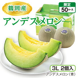鶴岡産 アンデスメロン（3L 2個入）　アンデス（青） 山形県産庄内メロン 砂丘が育む濃厚な味 産地直送 送料無料