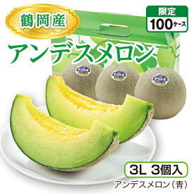 鶴岡産 アンデスメロン（3L 3個入）　アンデス（青） 山形県産庄内メロン 砂丘が育む濃厚な味 産地直送 送料無料