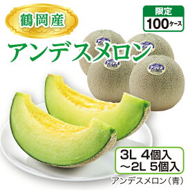 鶴岡産 アンデスメロン（3L 4個入〜2L 5個入）　アンデス（青） 山形県産庄内メロン 砂丘が育む濃厚な味 産地直送 送料無料