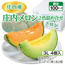 庄内産 庄内メロン2色詰め合せ（3L 4個入）赤肉メロン・アンデス（青）各2個 山形県産庄内メロン 砂丘が育む濃厚な味 産地直送 送料無料