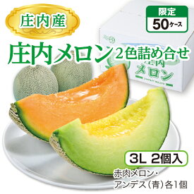 庄内産 庄内メロン2色詰め合せ（3L 2個入）赤肉メロン・アンデス（青）各1個 山形県産庄内メロン 砂丘が育む濃厚な味 産地直送 送料無料