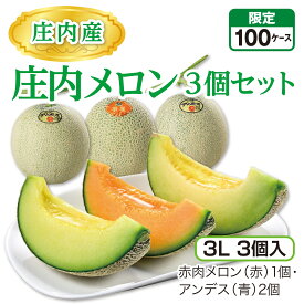 庄内産 庄内メロン3個セット（3L 3個入）　赤肉メロン（赤）1個・アンデス（青）2個 山形県産庄内メロン 砂丘が育む濃厚な味 産地直送 送料無料