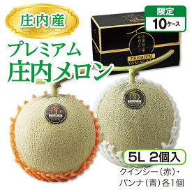 庄内産 プレミアム庄内メロン（5L 2個入）　クインシー（赤）1個・パンナ（青）1個 山形県産庄内メロン 砂丘が育む濃厚な味 産地直送 送料無料