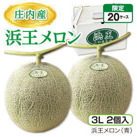 庄内産 浜王メロン（3L 2個入）　浜王メロン（青）2個 山形県産庄内メロン 砂丘が育む濃厚な味 産地直送 送料無料