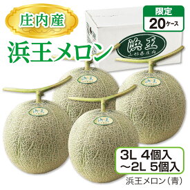庄内産 浜王メロン（3L 4個入〜2L 5個入）　浜王メロン（青） 山形県産庄内メロン 砂丘が育む濃厚な味 産地直送 送料無料