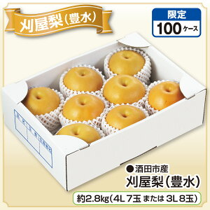 csY iLj 2.8kgi4L 7ʂ܂3L 8ʁjYn   Ȃ a  L ق t[c ʕ R`Y Y n lC  Mtg  蕨  