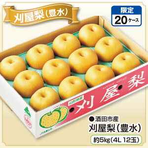 csY iLj 5kgi4L 12ʁjYn   Ȃ a  L ق t[c ʕ R`Y Y n lC  Mtg  蕨   ƒp 