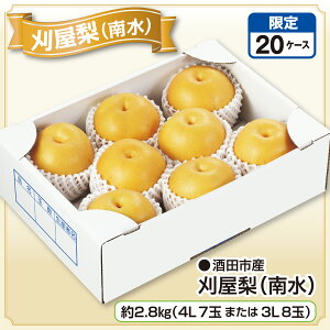 csY i쐅j 2.8kgi4L 7ʂ܂3L 8ʁjYn   Ȃ a  쐅 Ȃ񂷂 t[c ʕ R`Y Y n lC  Mtg  蕨  