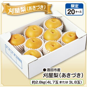 csY iÂj 2.8kgi4L 7ʂ܂3L 8ʁjYn   Ȃ a  Â t[c ʕ R`Y Y n lC  Mtg  蕨  