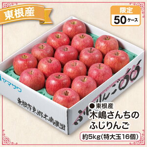 Y ؓ񂿂̂ӂ 5kgi16jYn 