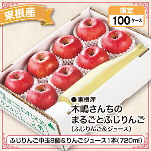 東根産 木嶋さんちのまるごとふじりんご(ふじりんご&ジュース)(ふじりんご中玉8個&りんごジュース1本(720ml))産地直送 送料無料