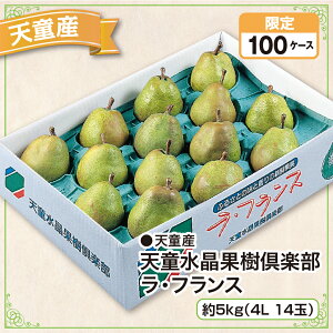 天童産 天童水晶果樹倶楽部 ラ・フランス 約5kg(4L 14玉)産地直送 送料無料
