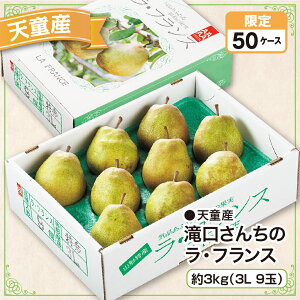 VY 񂿂̃EtX 3kgi3L 9ʁjYn 