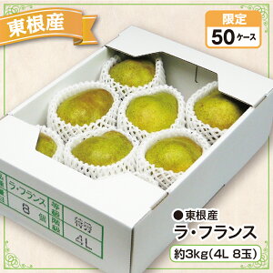東根産 ラ・フランス 約3kg(4L 8玉)産地直送 送料無料