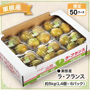 東根産 ラ・フランス 約5kg(L4個×6パック)産地直送 送料無料