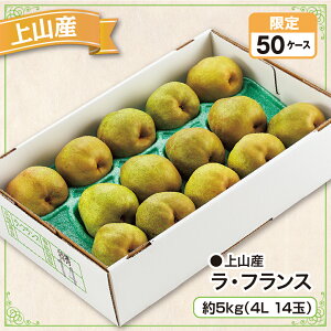 上山産 ラ・フランス 約5kg以上(4L 14玉)産地直送 送料無料